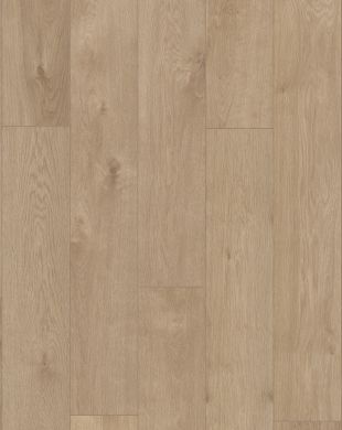 R065_1210x192_frontal.jpg