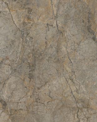 R104_Rainforest_Brown_1.jpg