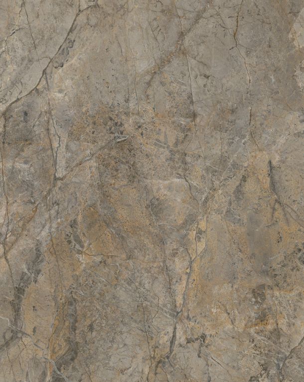 R104_Rainforest_Brown_2.jpg