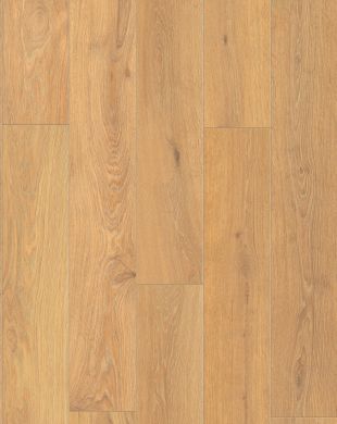 R173_1210x192_pion.jpg