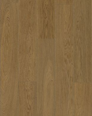 R171_1210x192_pion.jpg